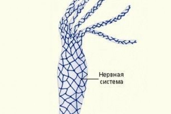Кракен вход krakens13 at