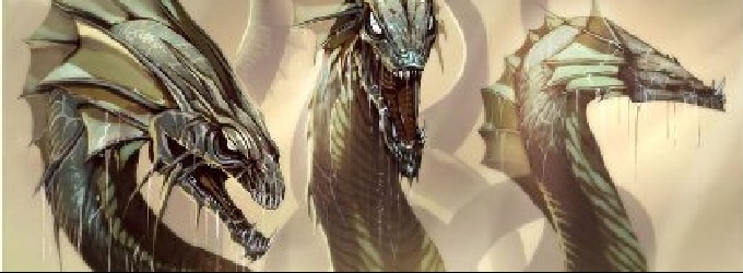 Kraken shop